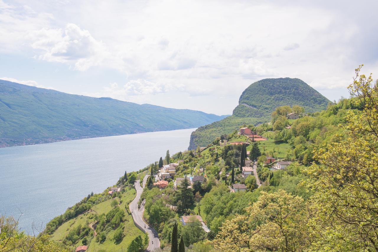Anna Tremosine